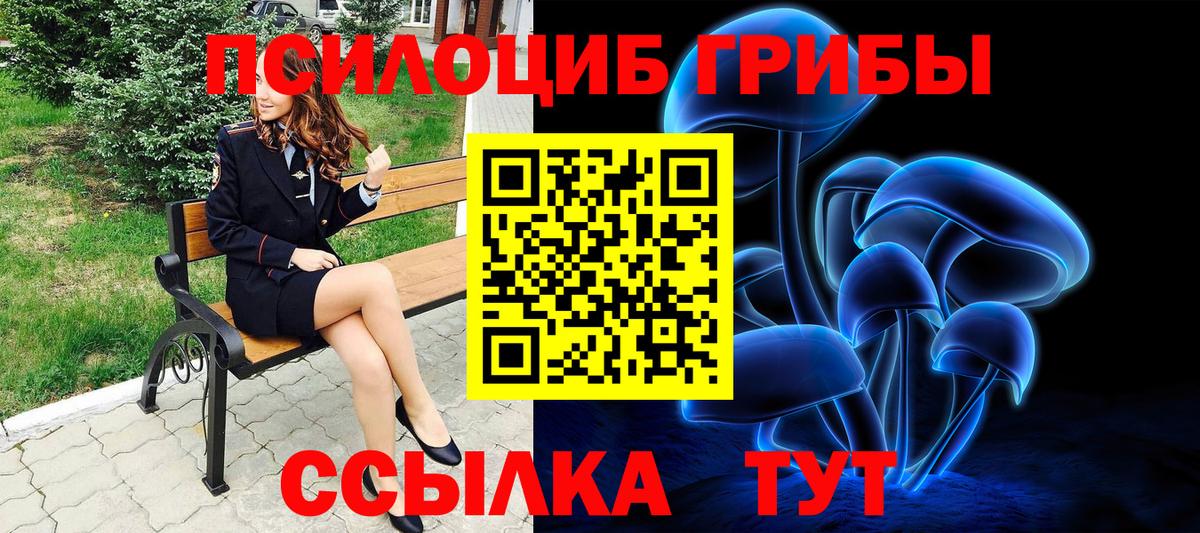 Псилоцибиновые грибы GOLDEN TEACHER  где купить наркоту  Вход с VPN  Алексин  Галлюциногенные грибы Cubensis 